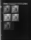 Re-photograph (5 Negatives) August 8-9, 1960 [Sleeve 19, Folder d, Box 24]